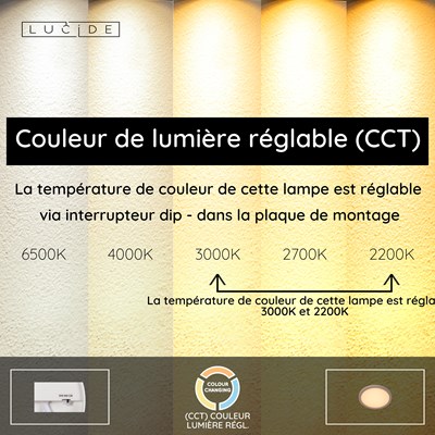Lucide RINUS - Plafonnier Salle de bains - Ø 19 cm - LED - CCT - 1x9,5W 2200K/3000K - IP44 - Opalin - Essential